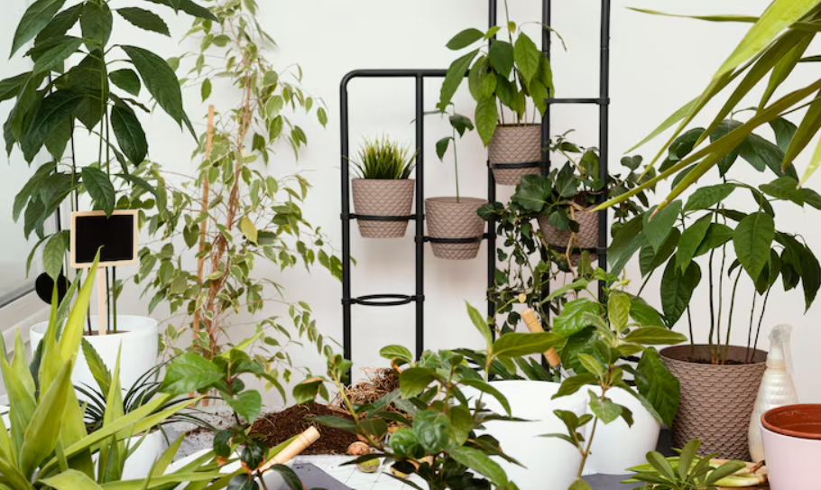 Jardin intérieur Jardin intérieur