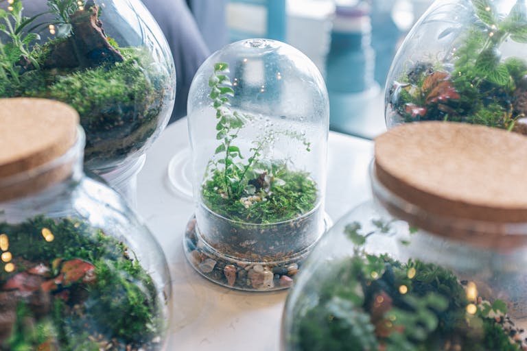 petit terrarium fait main