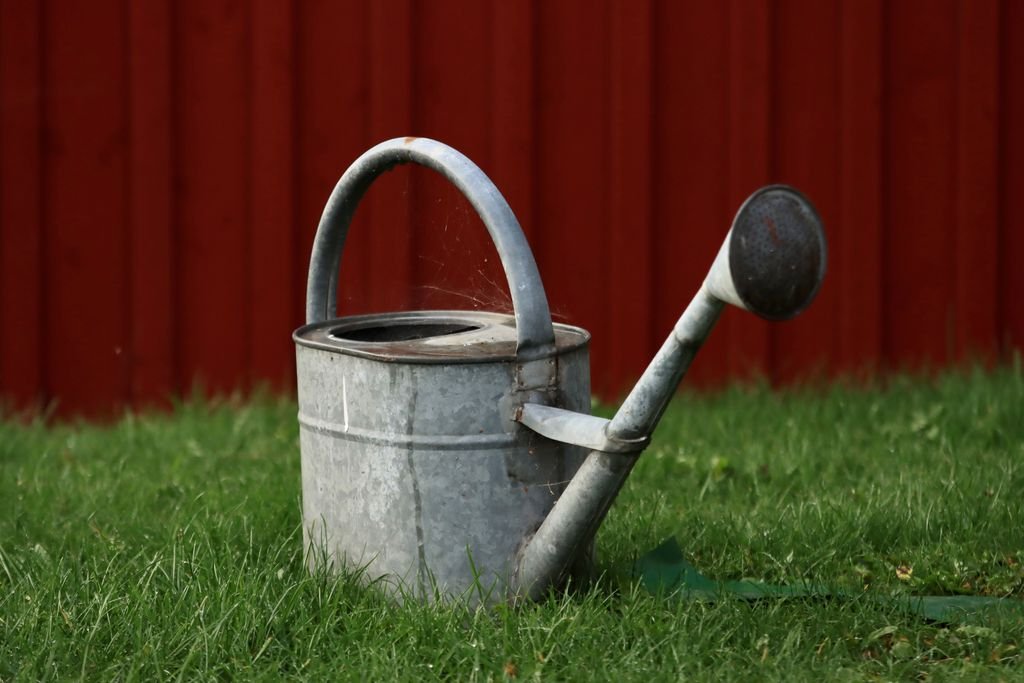 Jardin intérieur différentes tailles Arrosoir plante
